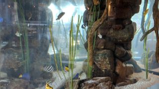 fish shops in juarez city The Aquarium Maintenance Company