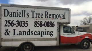 tree pruning juarez city Daniell's Tree Removal And Pruning Services