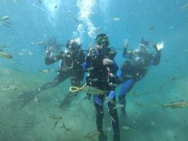 Scuba Certification