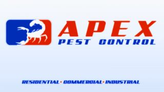 fumigation companies in juarez city Apex Pest Control