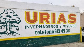centro jardineria ciudad juarez Urias Invernaderos y Víveros