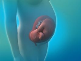 clinicas de fertilidad en ciudad juarez GINECER