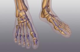 podiatrists in juarez city Charles Pittle DPM - Your Foot Specialist