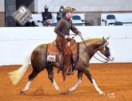 dressage lessons juarez city Marler Performance Horses